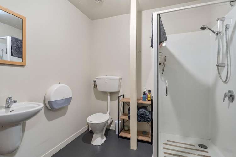 121 Trafalgar Street Nelson_8