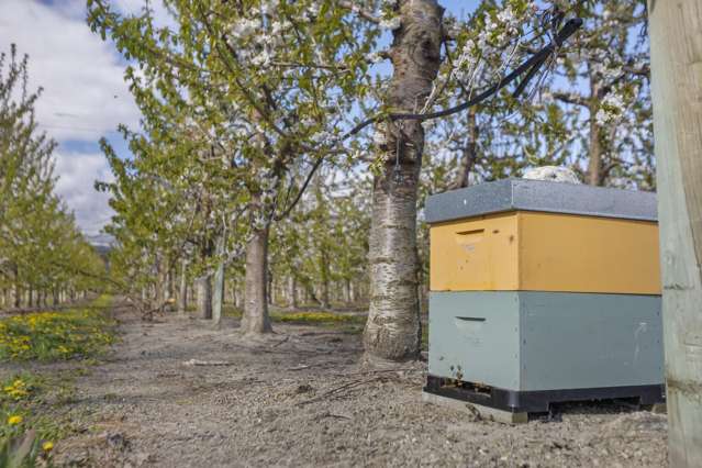 Smiths Way Mount Pisa_4