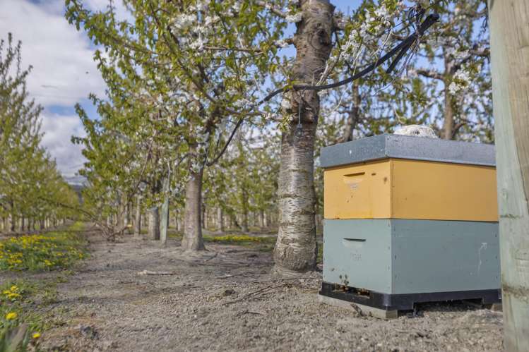 Smiths Way Mount Pisa_4