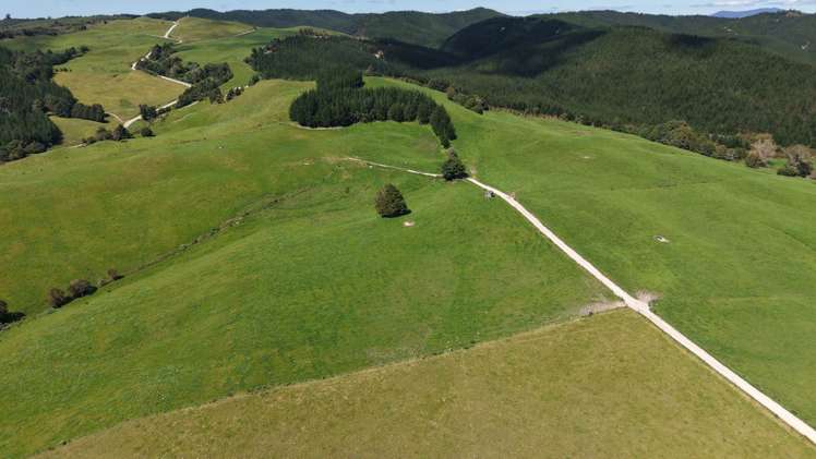 337 Mill Road Kawakawa_20