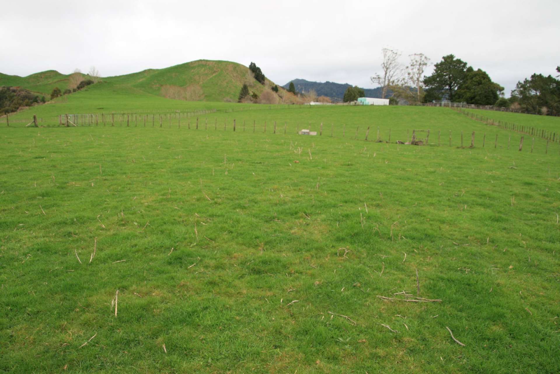 1381 Mangaehu Road Stratford_0