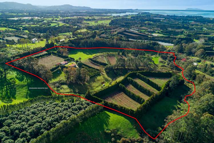 156a Lockington Road Aongatete_0