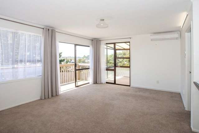 390c Richardson Road Mount Roskill_1