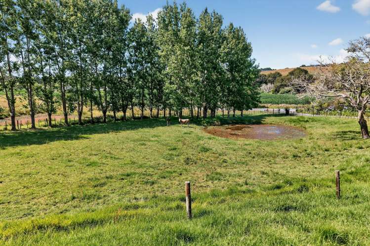 386 South Road Waipu_39