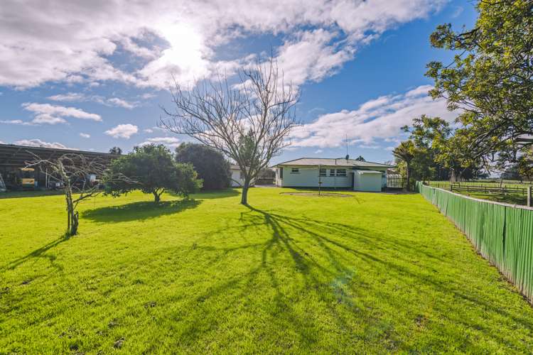 83 Johnson Street Milton_3