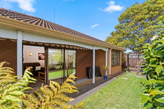 79 Domain Road Papamoa_1