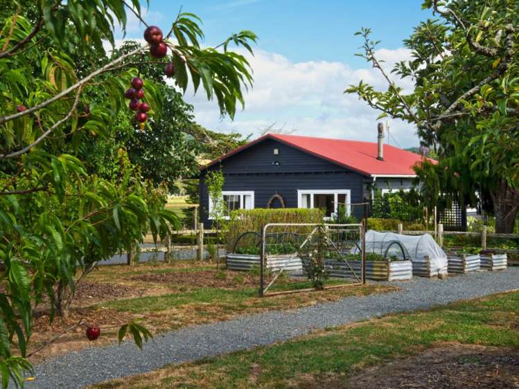 300 Clevedon Kawakawa Road Clevedon_8