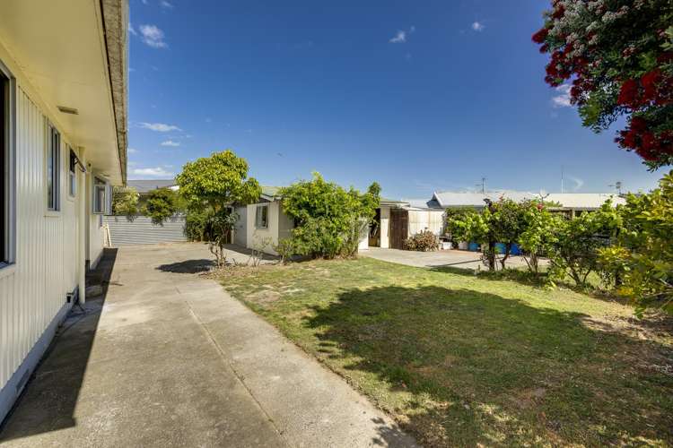 5 Plunket Street Tamatea_7