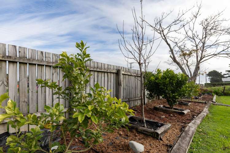 53 Bright Street Cobden_14