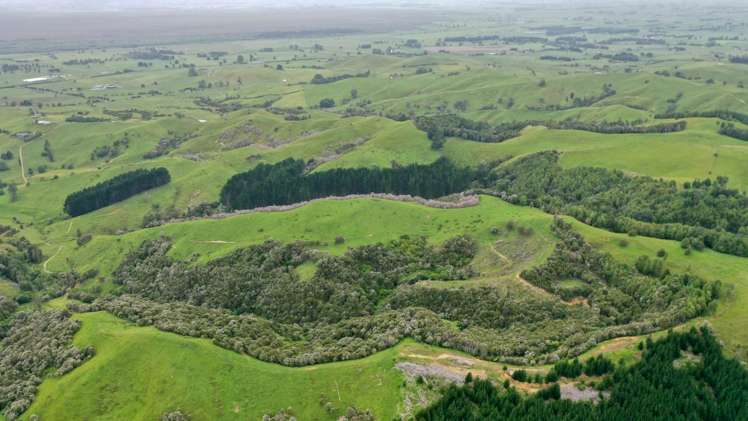 944 Waiti Road Tahuna_1