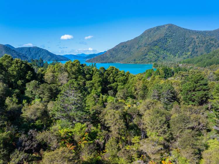Lots 3 4 5 Nydia Bay Marlborough Sounds_32