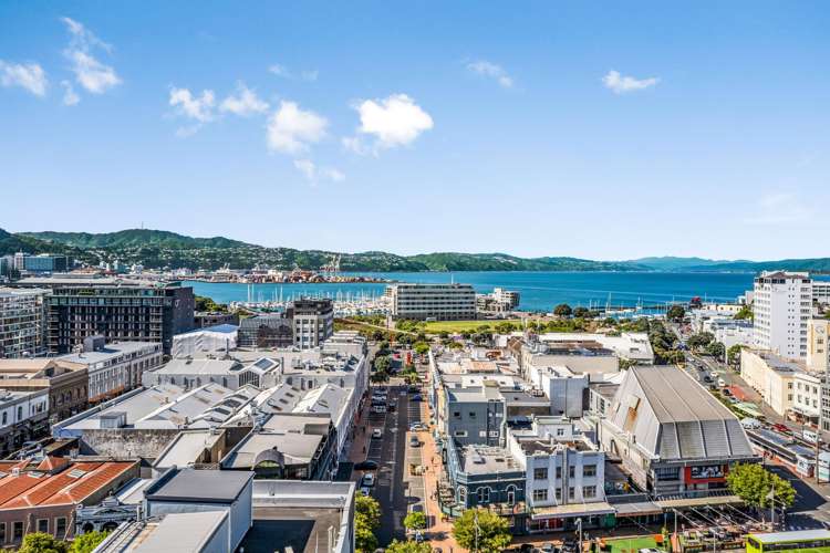 10 Alpha Street Te Aro_8