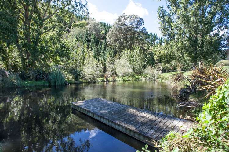 187 Judge Road Rotoorangi_6