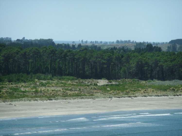 87 Ymca Road Mahia_14