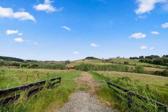 Lot 2 Forestry Road Waitoki_1