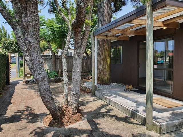 64 Seaview Terrace Mount Albert_1