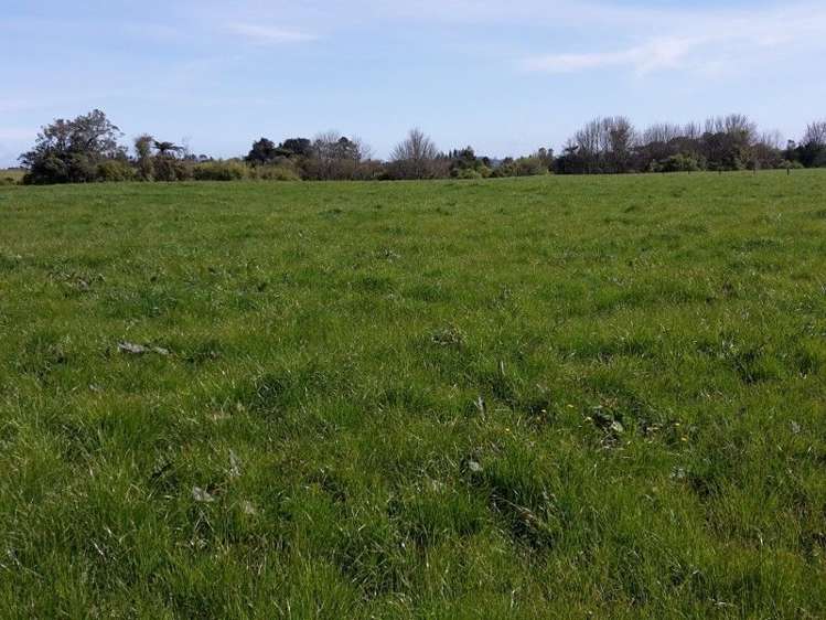 346 Rugby Road Tariki_92