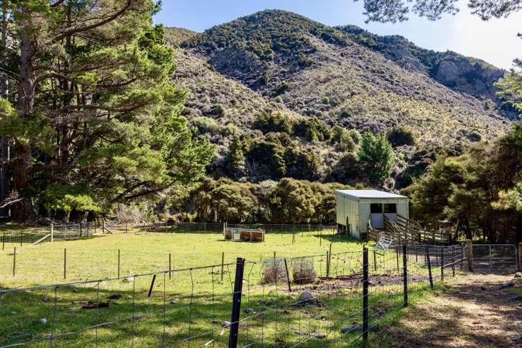 4098 Waihopai Valley Road Waihopai Valley_18