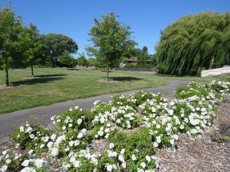 41 Hanrahan Street Allenton_3