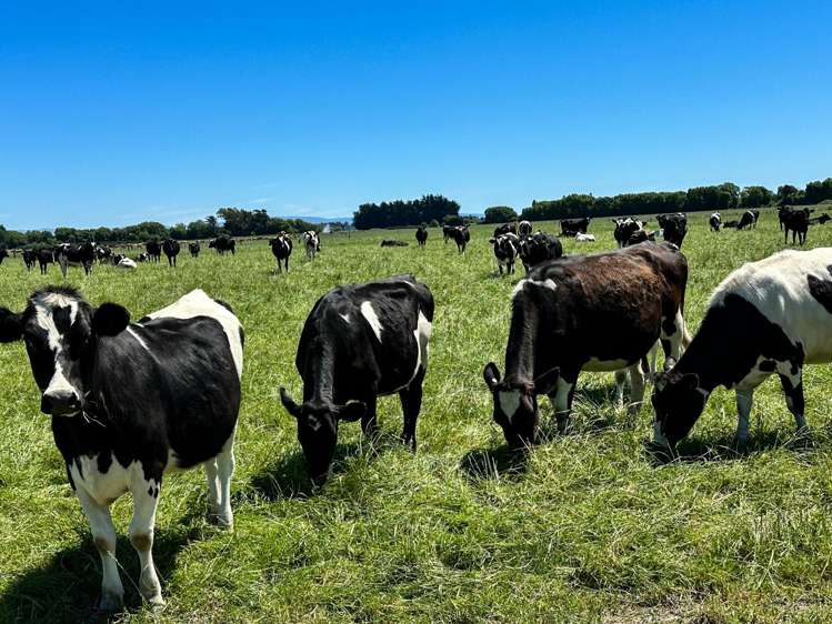 2390 Dipton Winton Highway Winton_2