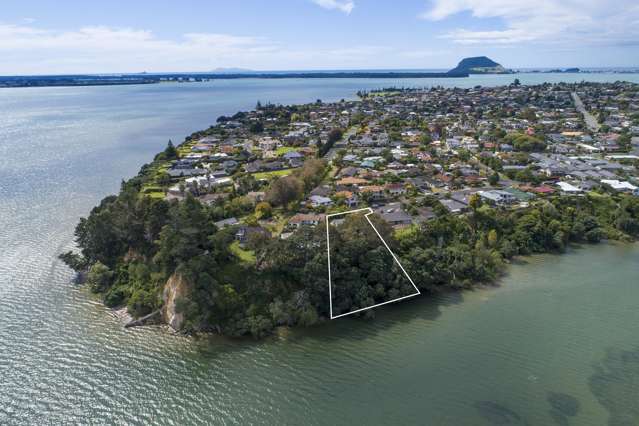 43 Rewarewa Place Matua_4