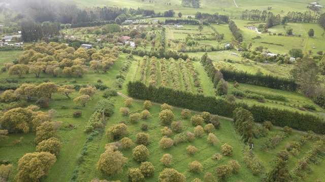 405 Tara Road Mangawhai_1