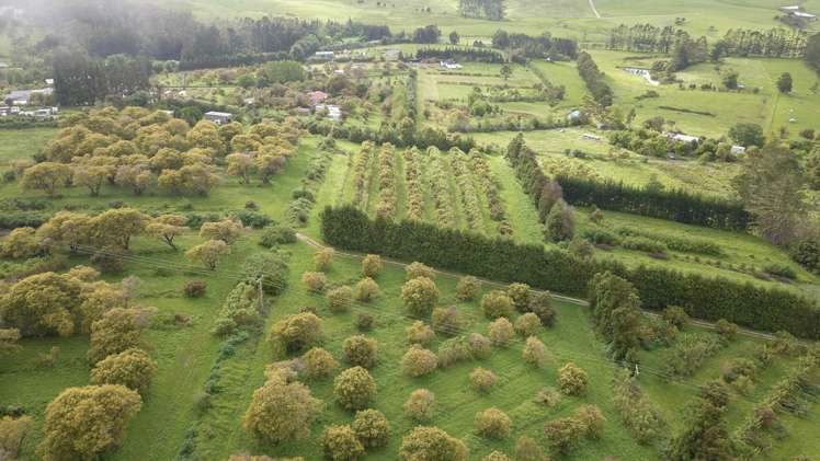 405 Tara Road Mangawhai_12