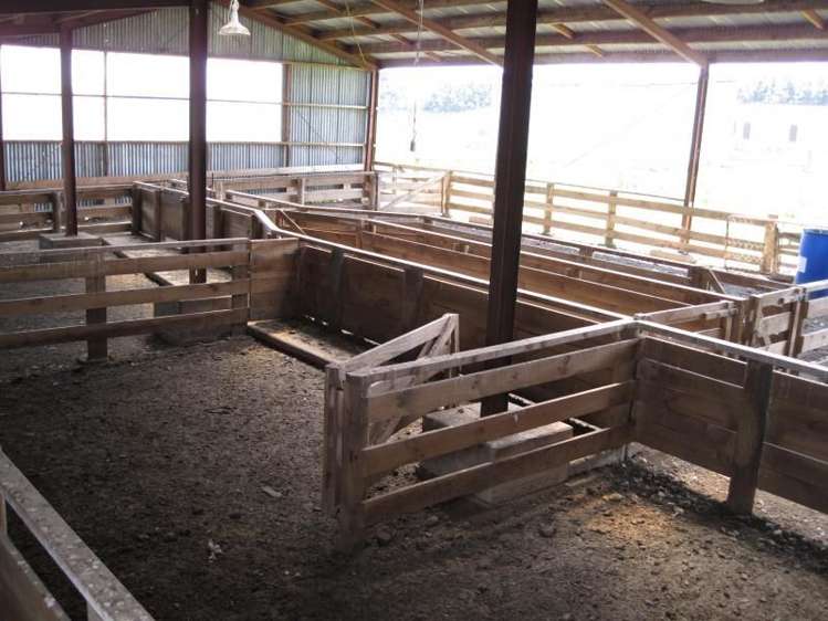 59 Lorne Dacre Road Lorneville_9