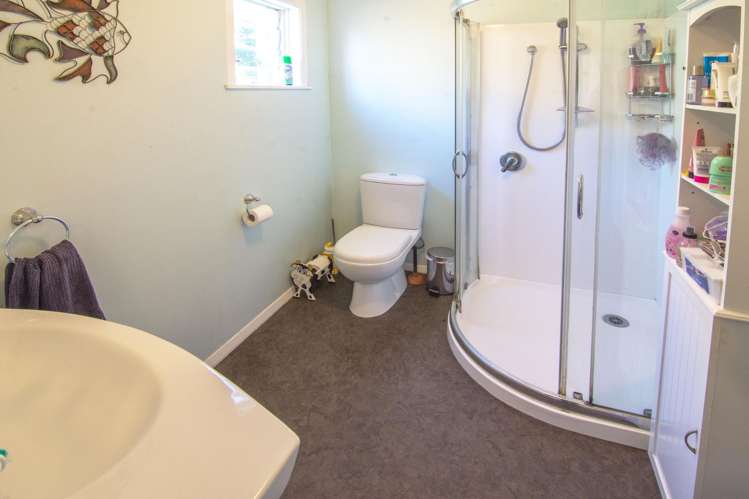 411 Whangaehu Valley Road Whangaehu Valley_10