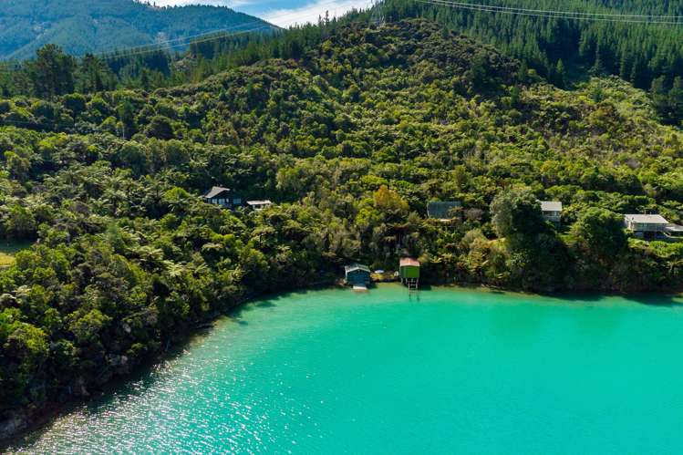 Tumbledown Bay Road Port Underwood_5