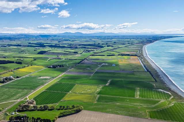 Mid-scale dairy opportunity