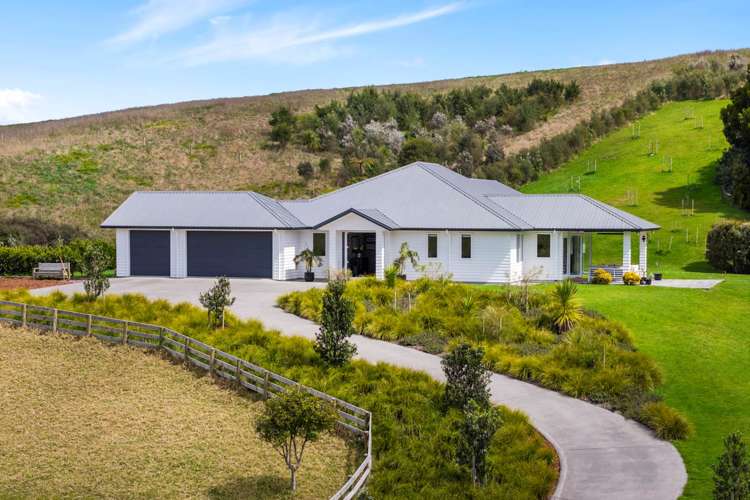 108 Tender Road Dairy Flat_31