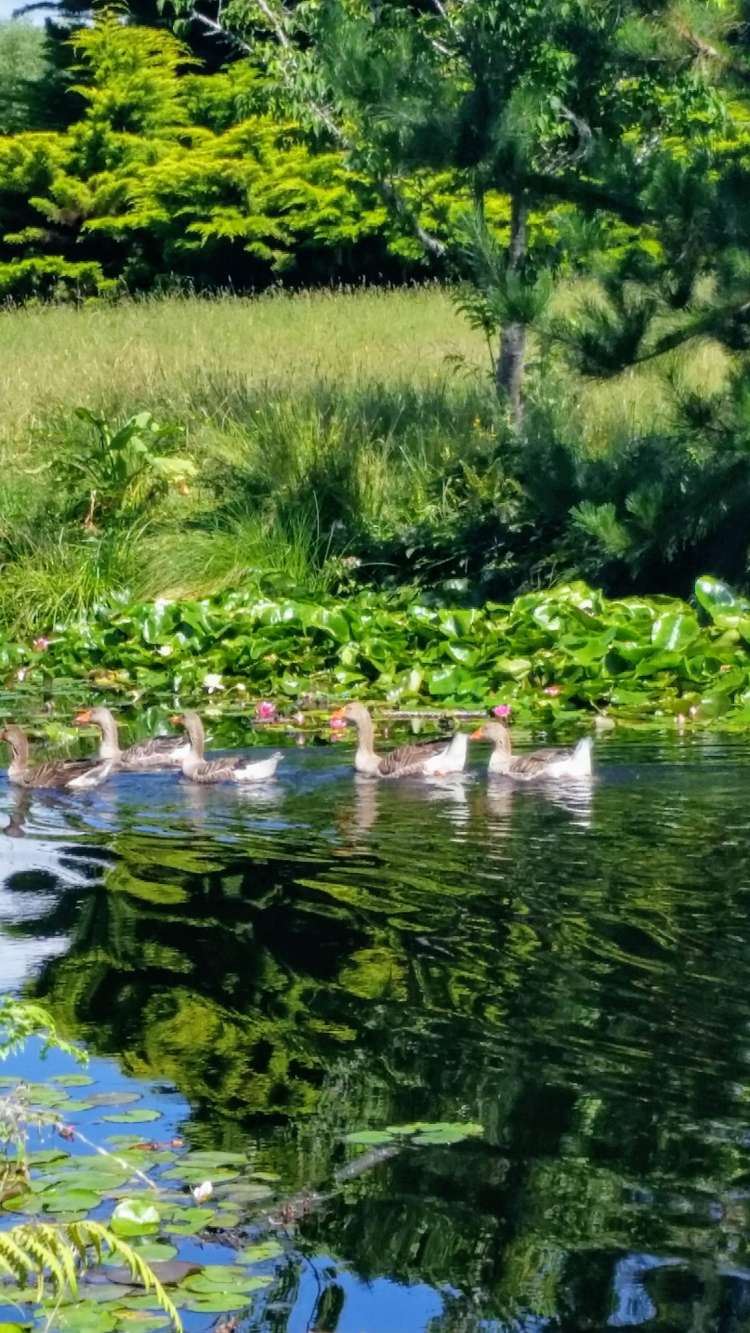 9 Te Whanga Road Levin_20