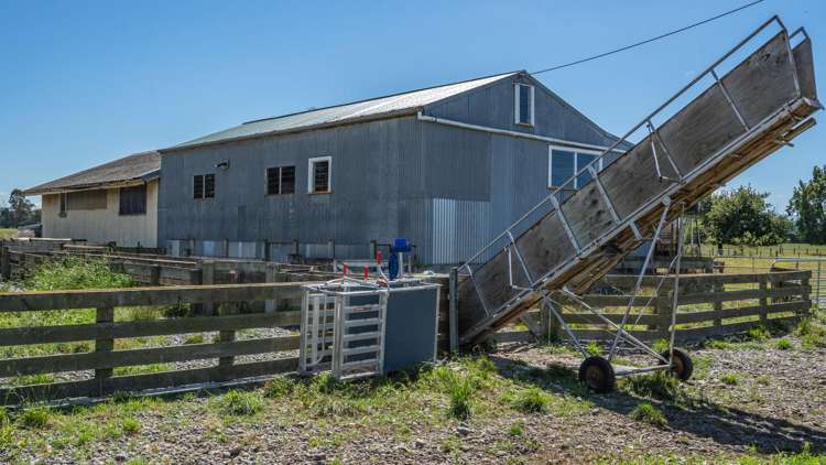 185 Ashworths Road Amberley_20