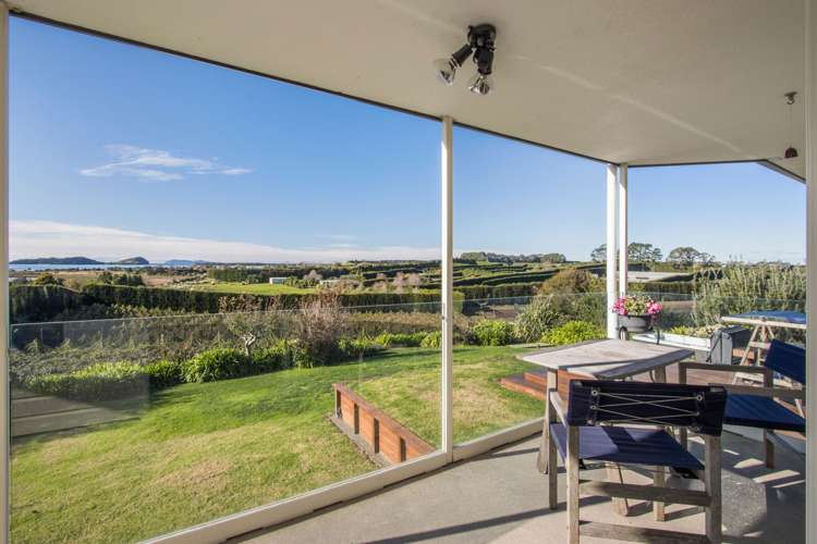 252 Tuapiro Road Katikati_16
