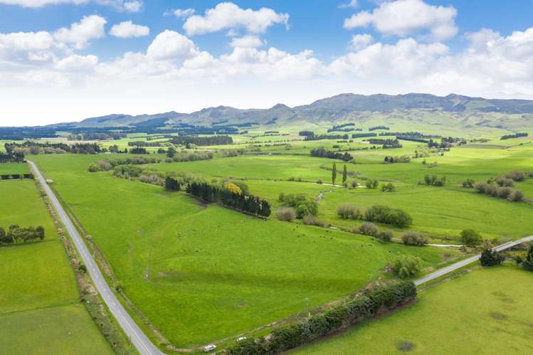 1166 Scargill Valley Road Scargill_1