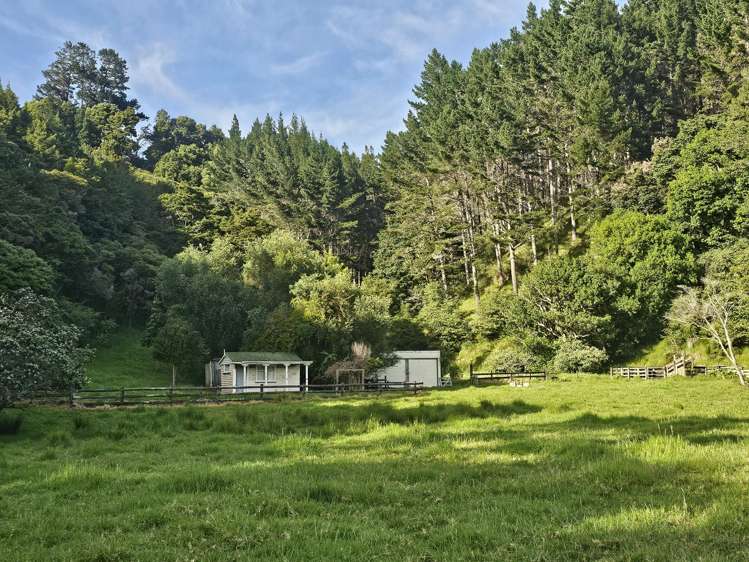 121 Ohawini Road Oakura_27