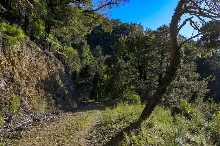 2464 Port Underwood Road Port Underwood_14