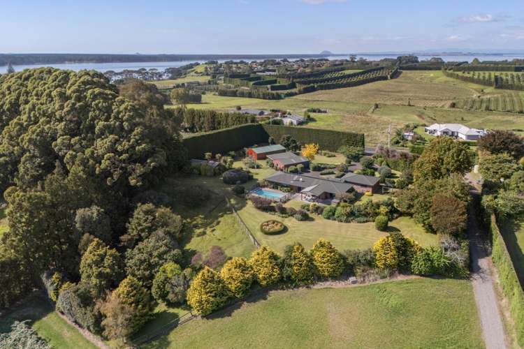 217 Ongare Point Road Katikati_28