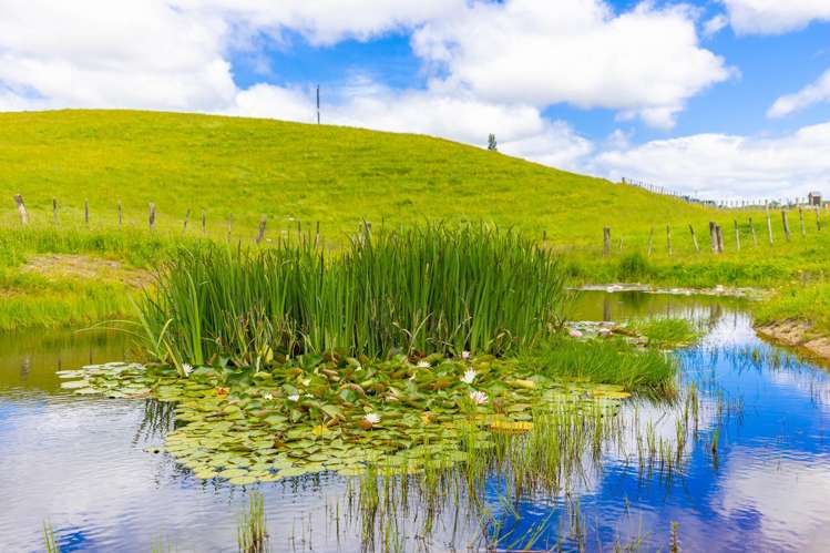 680 State Highway 4 Te Mapara_14