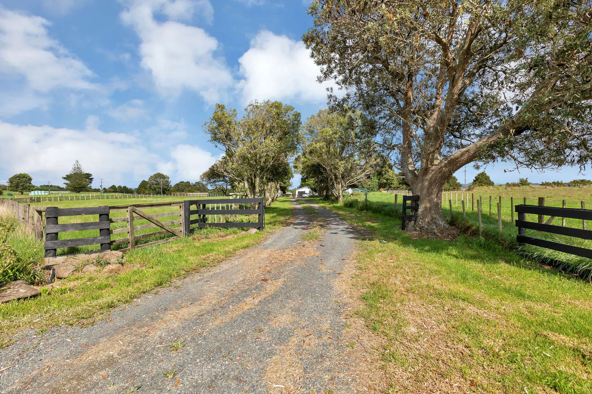 114 Gibbs Road Whakapara_0