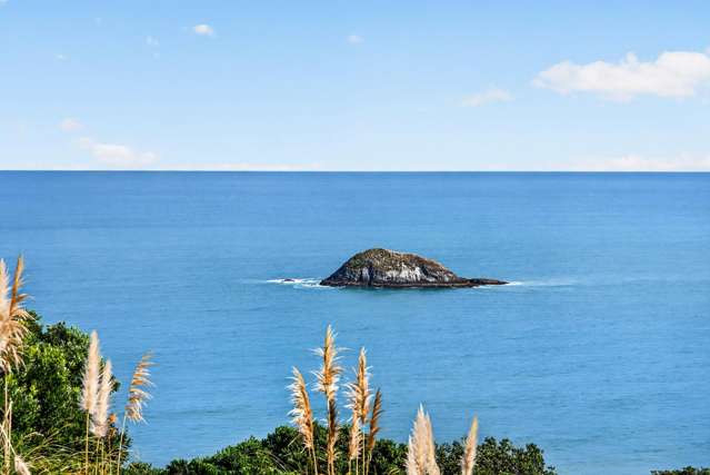 9 Ngatira Road Muriwai Beach_1