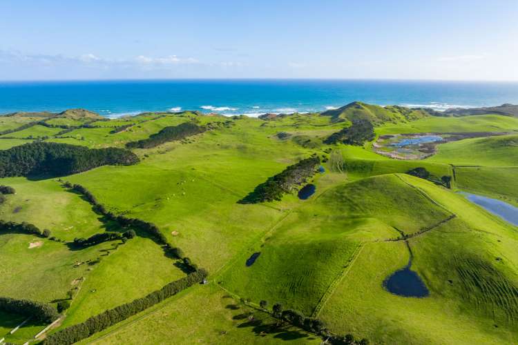 386 Rehutai Road Dargaville Surrounds_0