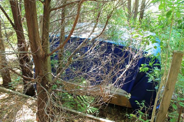 South East Bay Kenepuru Sound_7