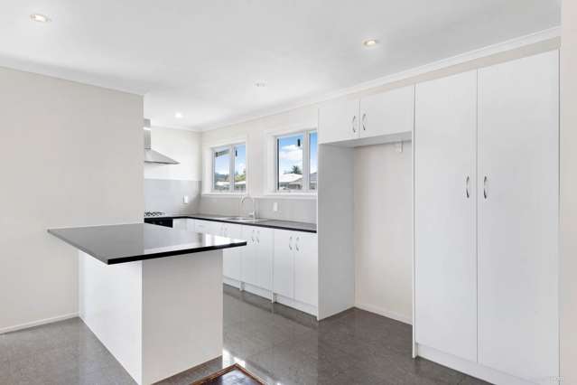 16 Clark Street Manurewa_2