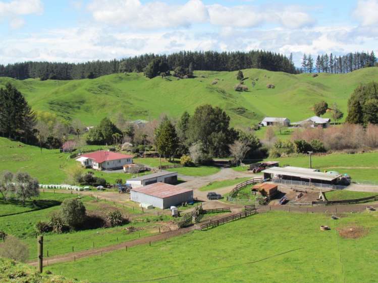 1840 Manawahe Road Manawahe_5