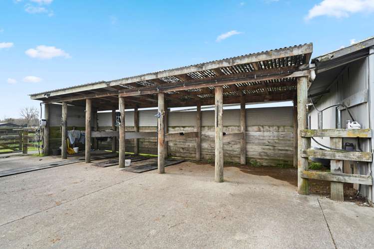 59 Racecourse Road Cambridge_39