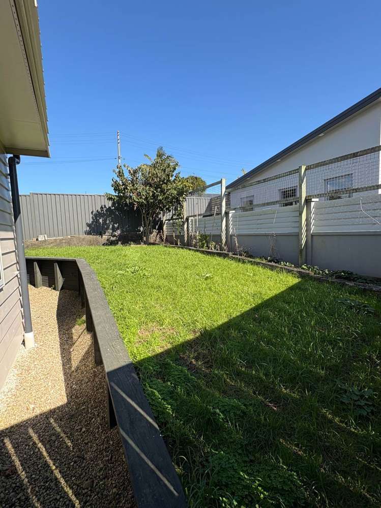 9b Arran Street Avondale_11