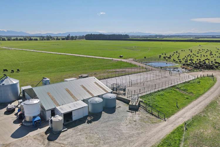 729 Terrace Road Bankside_17