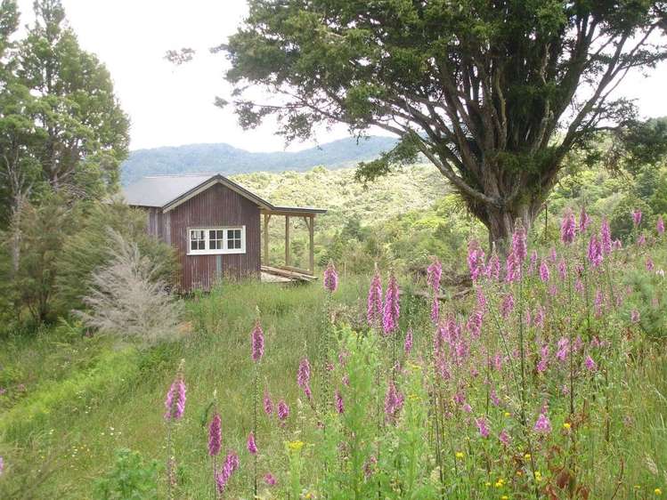 361 Kaiikanui Road Hukerenui and Surrounds_3